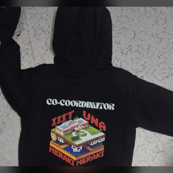 DTF Print - Full-colour print on the back of a hoodie